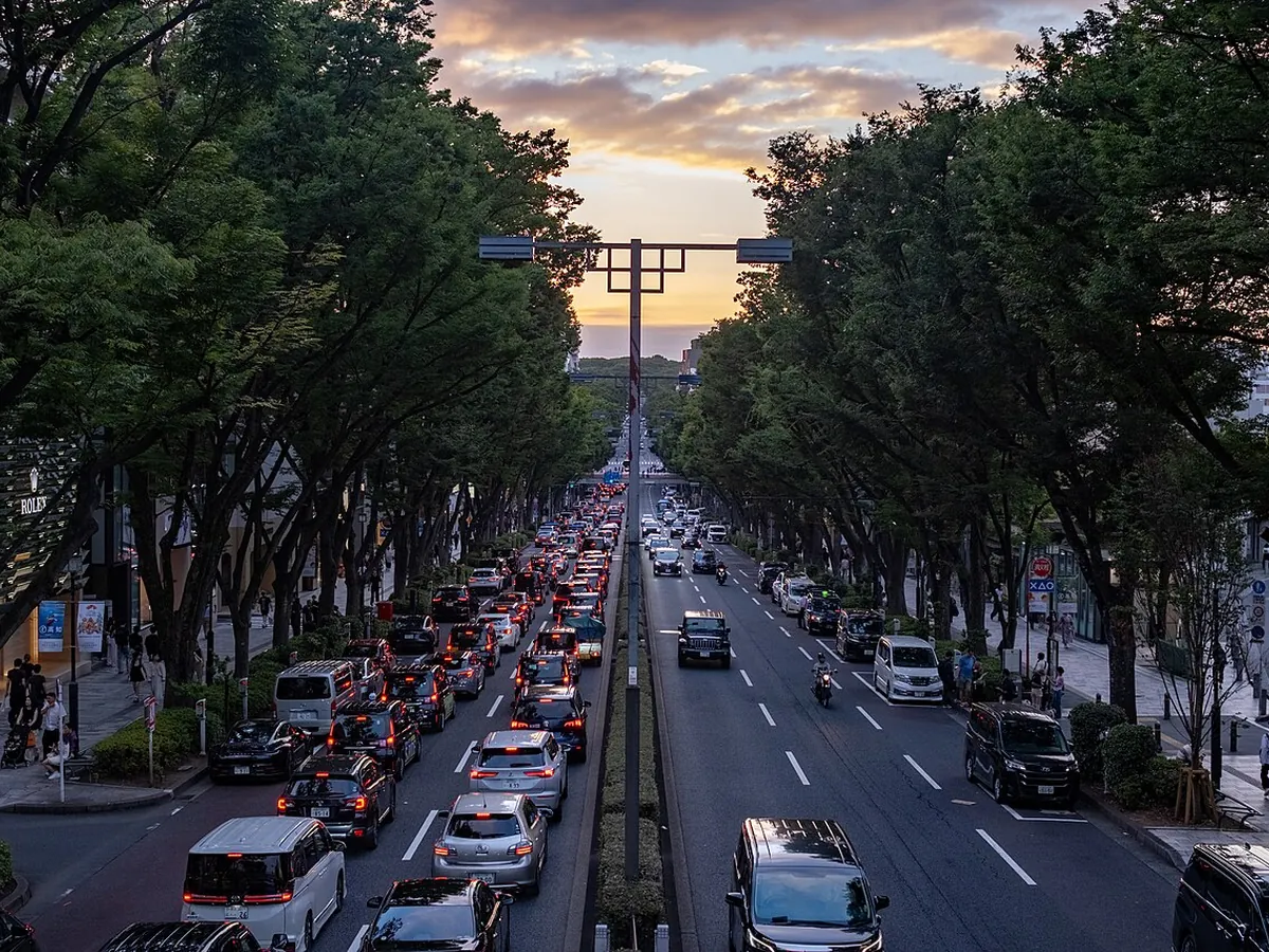 Omotesando avenue at sunset, lined with zelkova trees and filled with slow-moving traffic